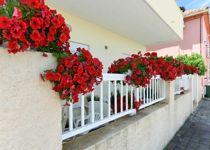 Kolt Appartement
