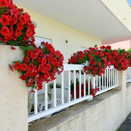Kolt - 15m From Sea Apartament